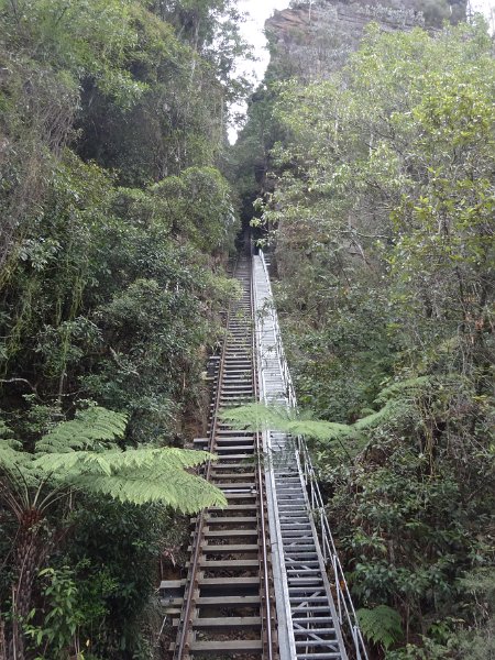 2015_Australie-3-Blue_Montains-3-Three_Sisters_et-environs_35