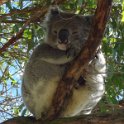2019_Australie-2-Ocean_Road-6-Cape_Otway_Lighstation_02