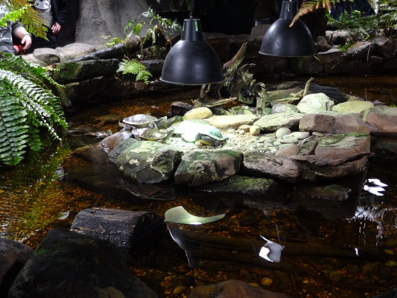 2019_Australie-1-Melbourne-11-Aquarium_07
