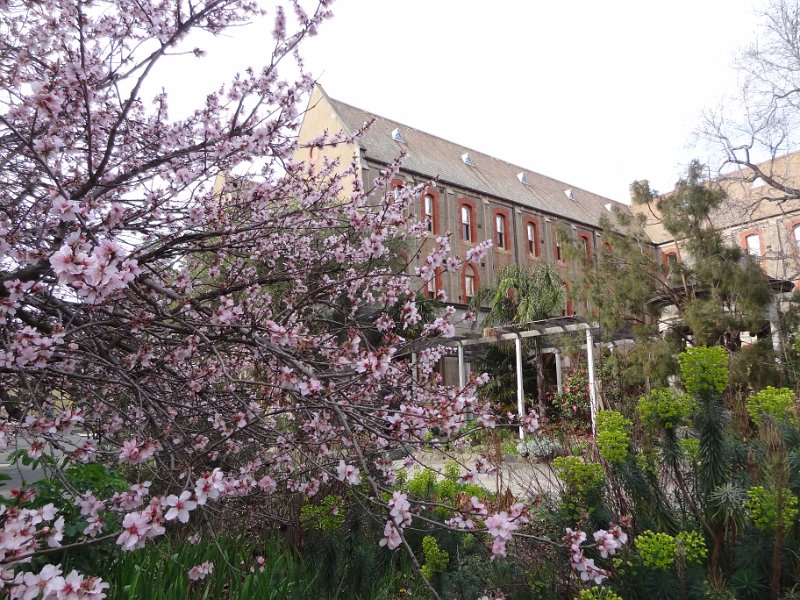 2019_Australie-1-Melbourne-14-Abbotsford_Convent_10