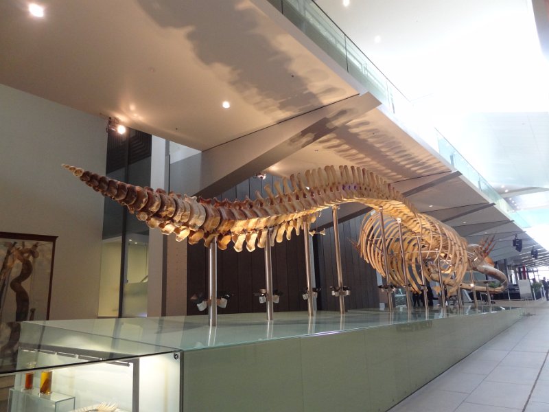 2019_Australie-1-Melbourne-4-Royal_Exhibition_Building-le-musee_02