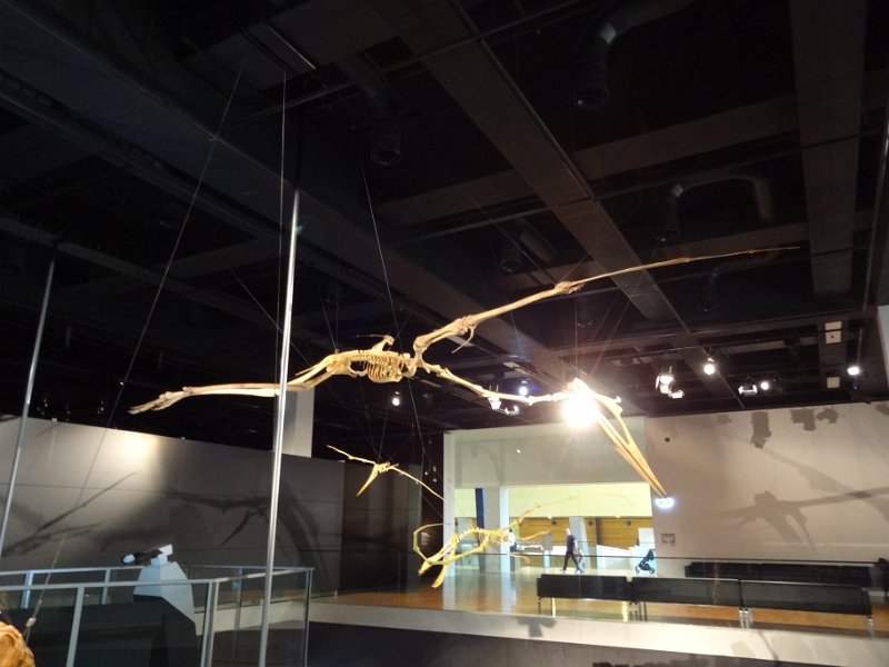 2019_Australie-1-Melbourne-4-Royal_Exhibition_Building-le-musee_13