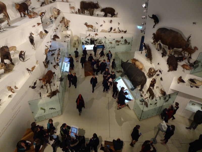 2019_Australie-1-Melbourne-4-Royal_Exhibition_Building-le-musee_14