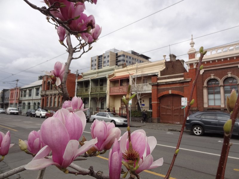 2019_Australie-1-Melbourne-4-Royal_Exhibition_Building-maisons_04