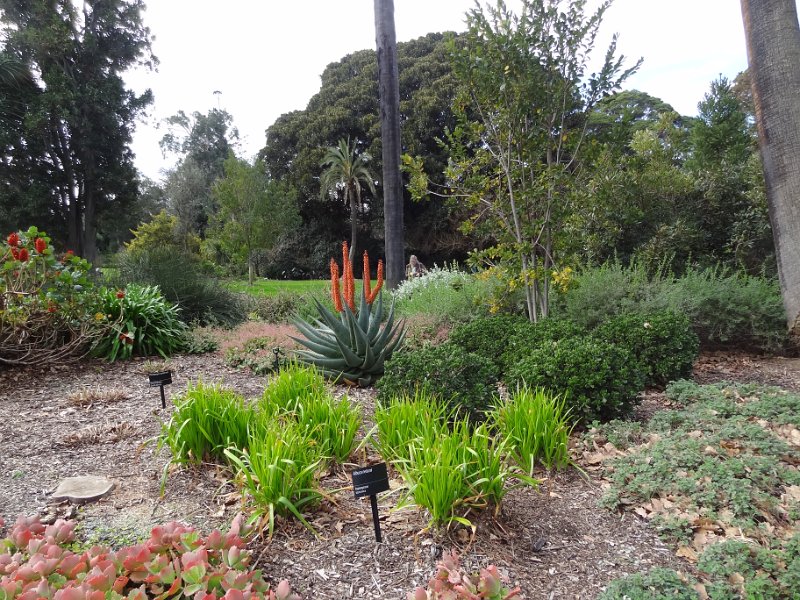 2019_Australie-1-Melbourne-5-Royal_Botanic_Gardens_Victoria_05