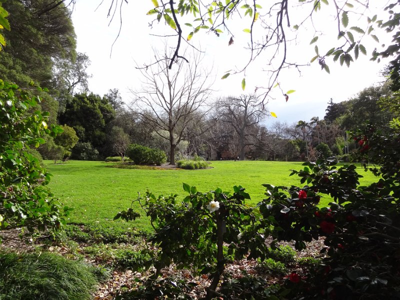 2019_Australie-1-Melbourne-5-Royal_Botanic_Gardens_Victoria_10