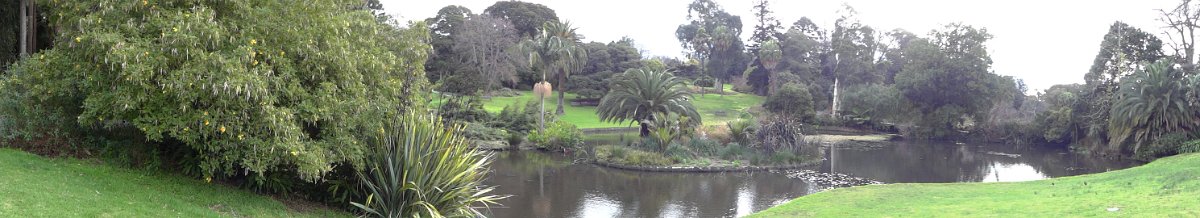 2019_Australie-1-Melbourne-5-Royal_Botanic_Gardens_Victoria_14