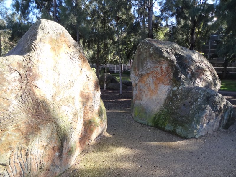 2019_Australie-1-Melbourne-7-Birrarung_Marr_14