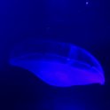 2019_Australie-1-Melbourne-11-Aquarium_01