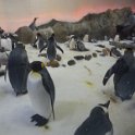2019_Australie-1-Melbourne-11-Aquarium_09