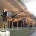 2019_Australie-1-Melbourne-4-Royal_Exhibition_Building-le-musee_02