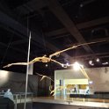 2019_Australie-1-Melbourne-4-Royal_Exhibition_Building-le-musee_13