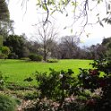 2019_Australie-1-Melbourne-5-Royal_Botanic_Gardens_Victoria_10