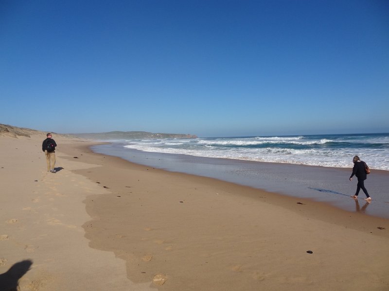 2019_Australie-5-Phillip_Island_04