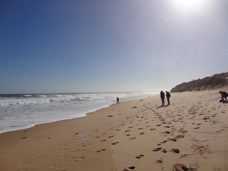 2019_Australie-5-Phillip_Island_05