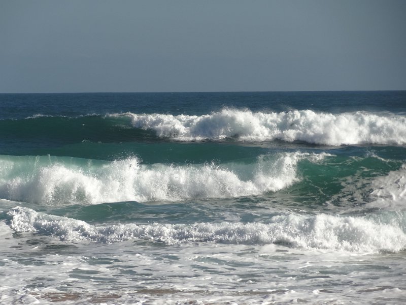 2019_Australie-5-Phillip_Island_09