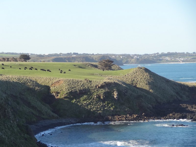 2019_Australie-5-Phillip_Island_18