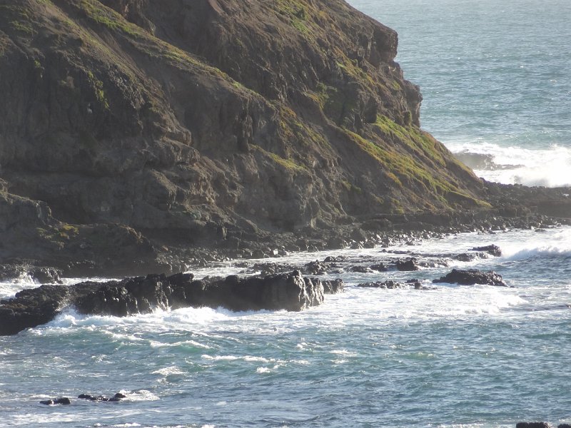 2019_Australie-5-Phillip_Island_19