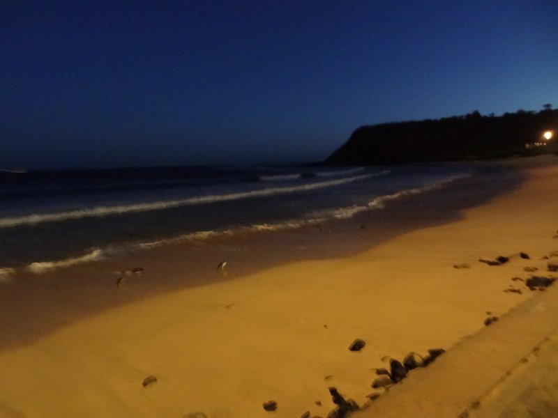 2019_Australie-5-Phillip_Island_34