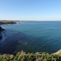 2019_Australie-5-Phillip_Island_14