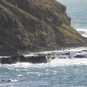2019_Australie-5-Phillip_Island_19