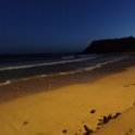 2019_Australie-5-Phillip_Island_34