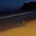 2019_Australie-5-Phillip_Island_38