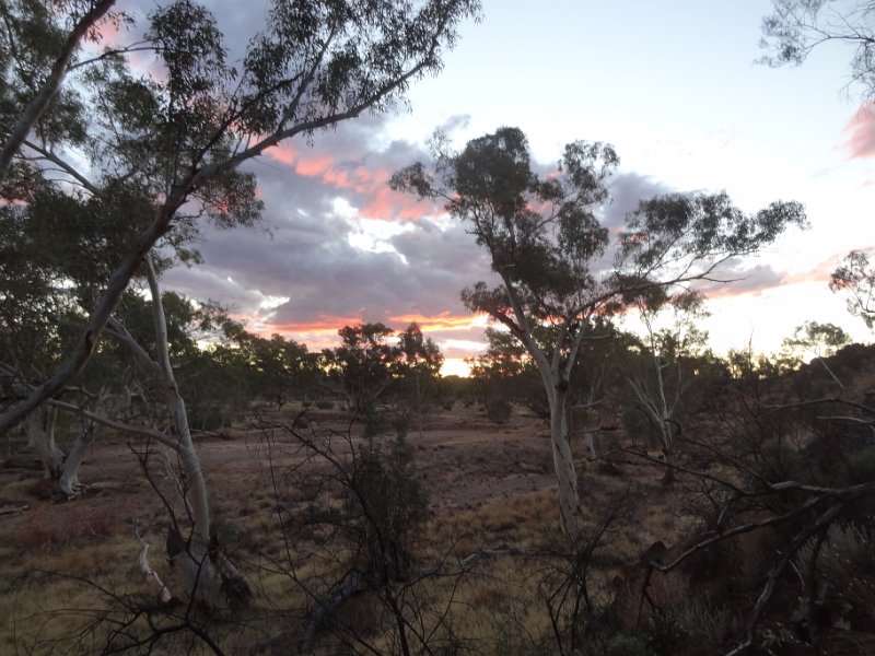 2015_Australie-2-Red_Centre-10-camping_a_la_belle_etoile_10