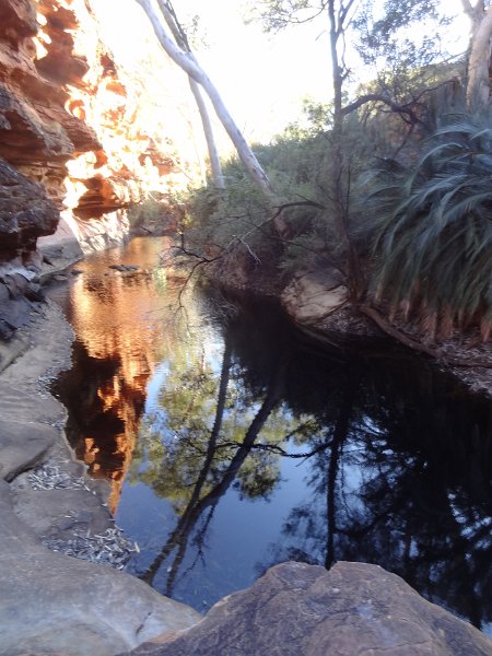 2015_Australie-2-Red_Centre-5-King_s_Caynon_36