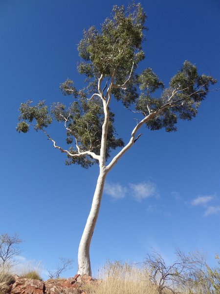 2015_Australie-2-Red_Centre-7-Ormiston_Gorge_10