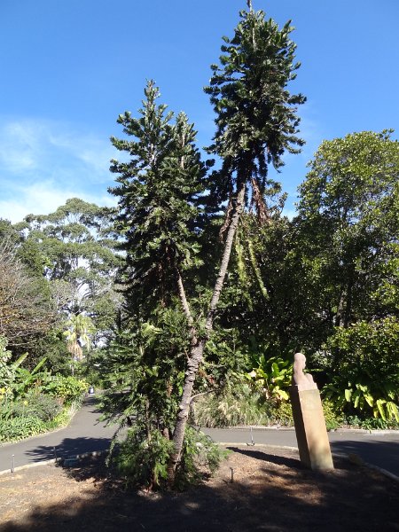 2015_Australie-1-Sydney-11-Royal_Botanic_Gardens_03