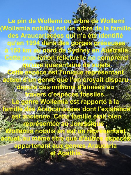 2015_Australie-1-Sydney-11-Royal_Botanic_Gardens_04