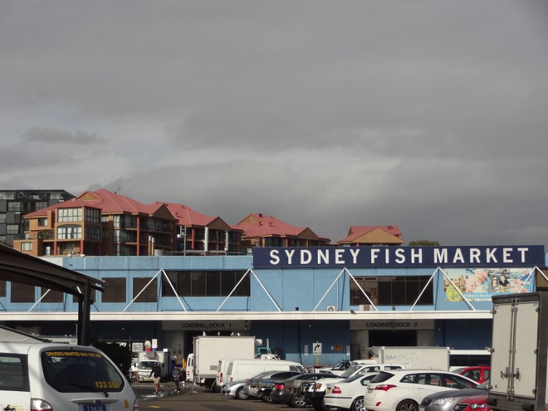 2015_Australie-1-Sydney-14-Fish_Market