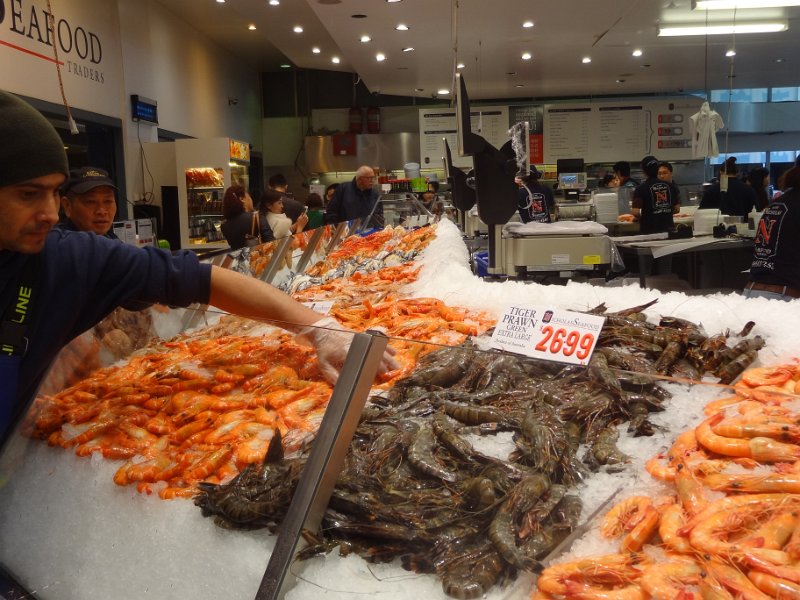 2015_Australie-1-Sydney-14-Fish_Market_07