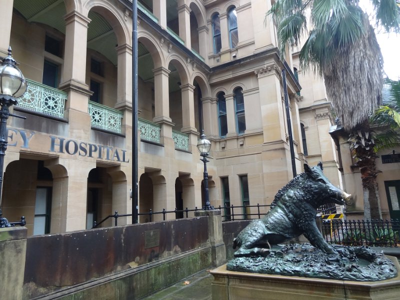 2015_Australie-1-Sydney-18-En_ville_35