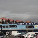 2015_Australie-1-Sydney-14-Fish_Market
