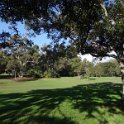 2015_Australie-1-Sydney-21-Centennial_Park