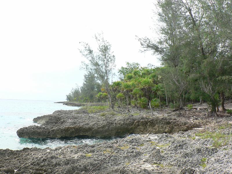 2010_Cuba-3-Baie_des_cochons_04.JPG - La côte très rocheuse...