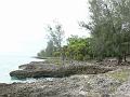 2010_Cuba-3-Baie_des_cochons_04