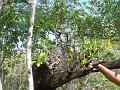 2010_Cuba-3-Baie_des_cochons_13