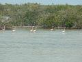 2010_Cuba-3-Baie_des_cochons_16