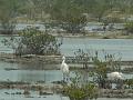 2010_Cuba-3-Baie_des_cochons_35