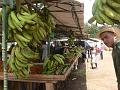 2010_Cuba-5-Camaguey_19