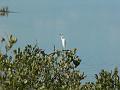 2010_Cuba-9-Cayo_Coco_et_Guillermo_06
