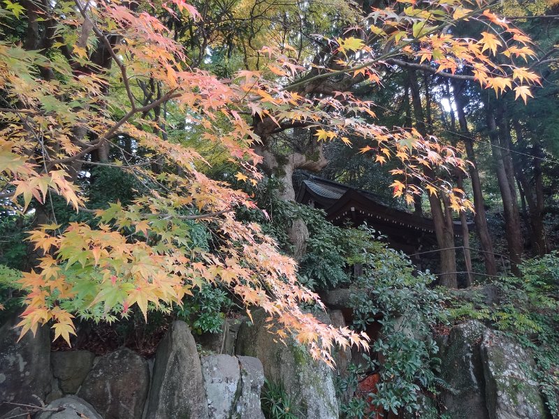 2017_JAPON_Arima_Onsen_09