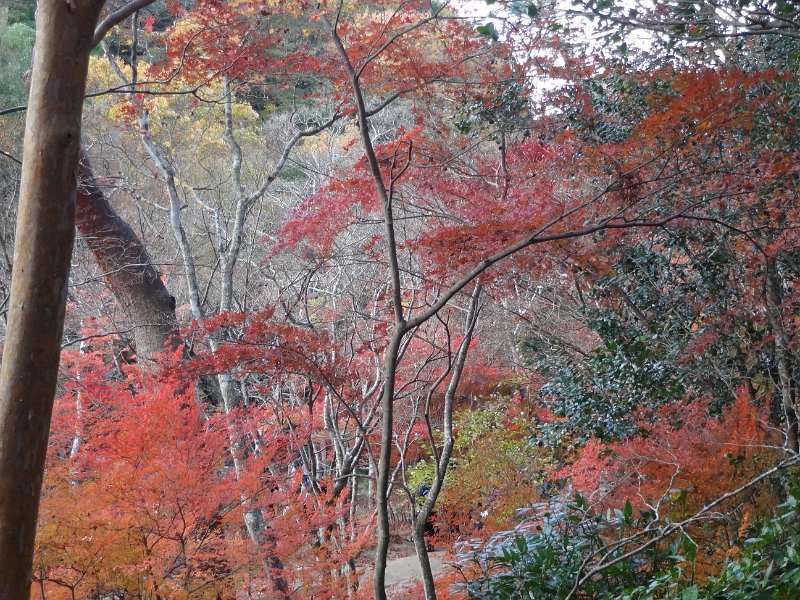 2017_JAPON_Arima_Onsen_16