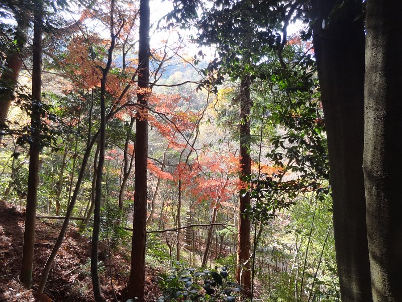 2017_JAPON_Arima_Onsen_17
