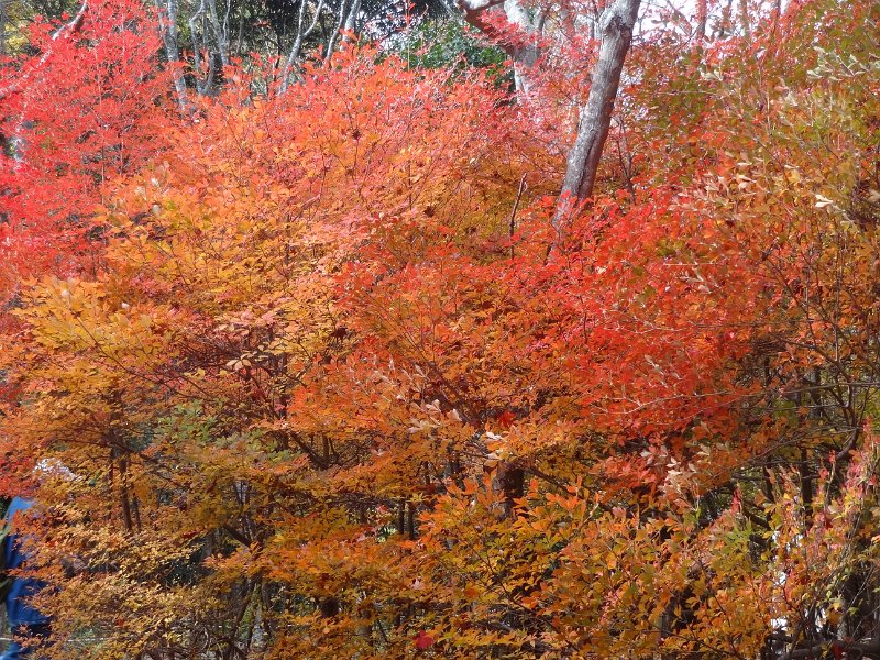 2017_JAPON_Arima_Onsen_19