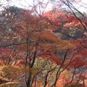 2017_JAPON_Arima_Onsen_13