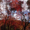 2017_JAPON_Arima_Onsen_18